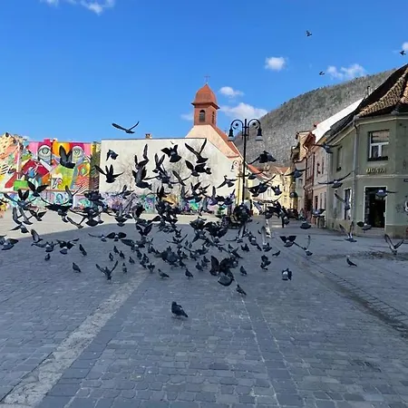 Winterland Sf.ioan Appartement *