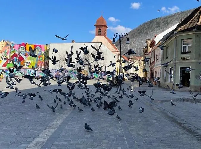 Winterland Sf.ioan Apartment *