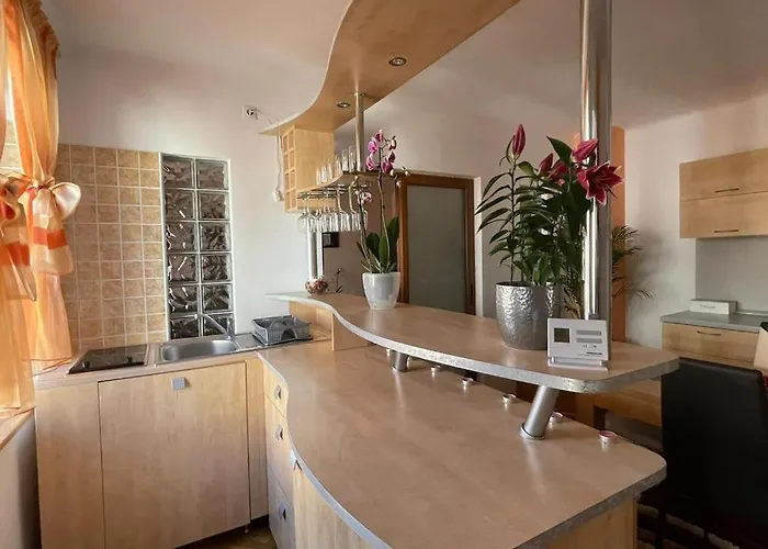 Winterland Sf.ioan Apartament *